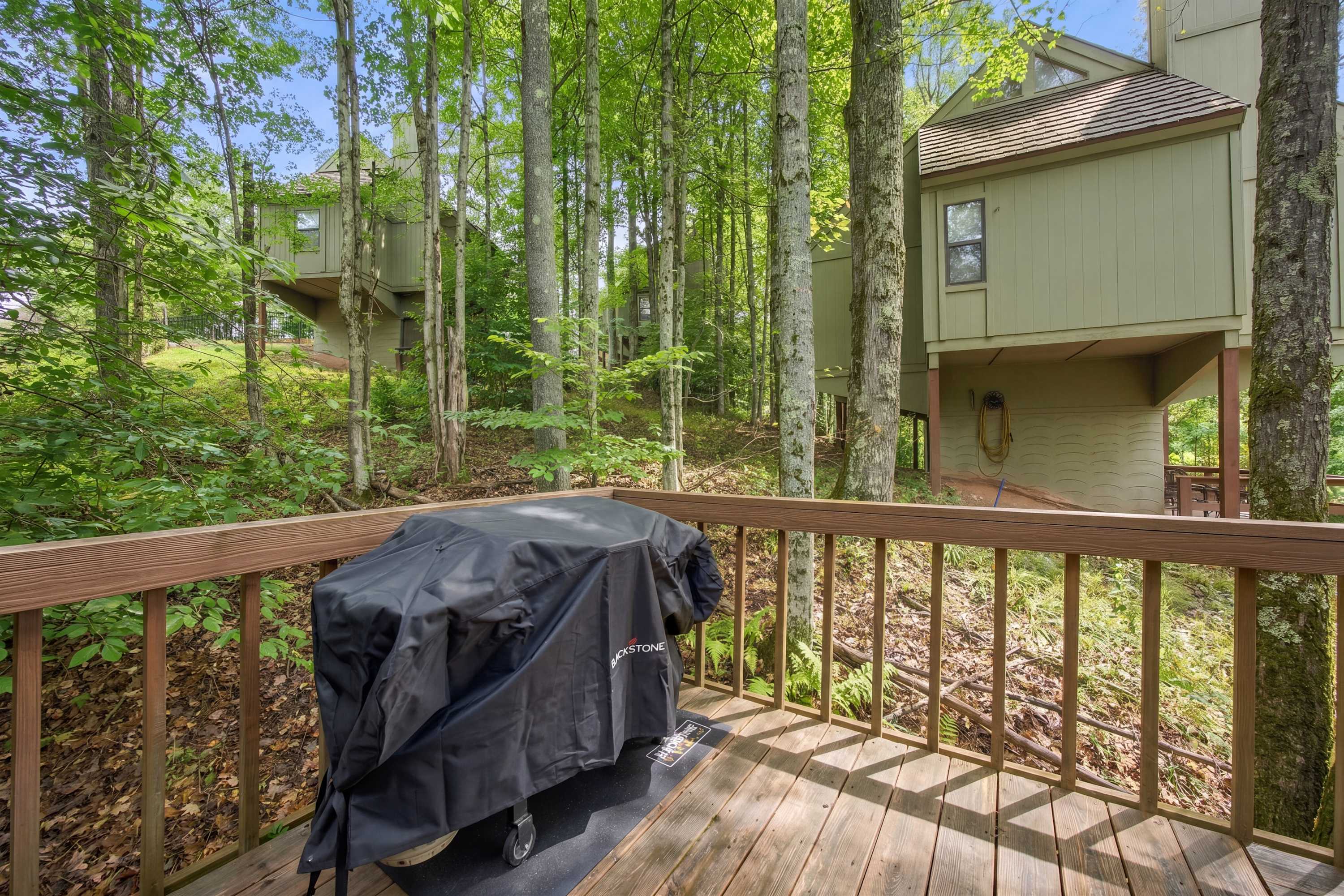Canaan Valley w Refuge Access & Resort Amenities
