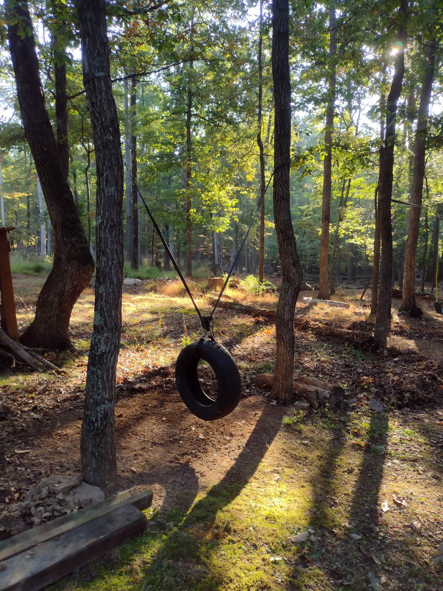 Little ones will enjoy the tire swing!