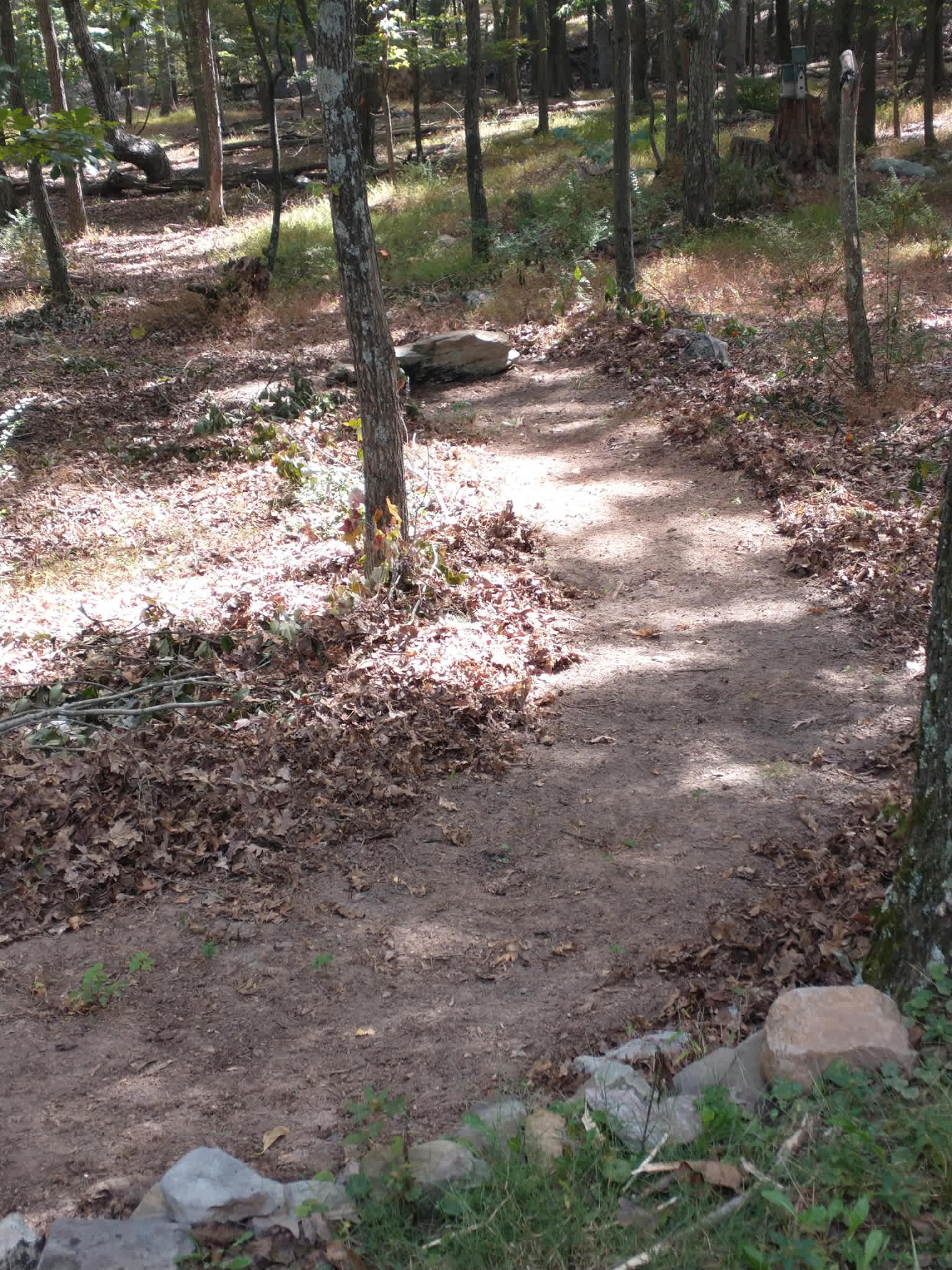 Private walking trail - oh the places you will go!