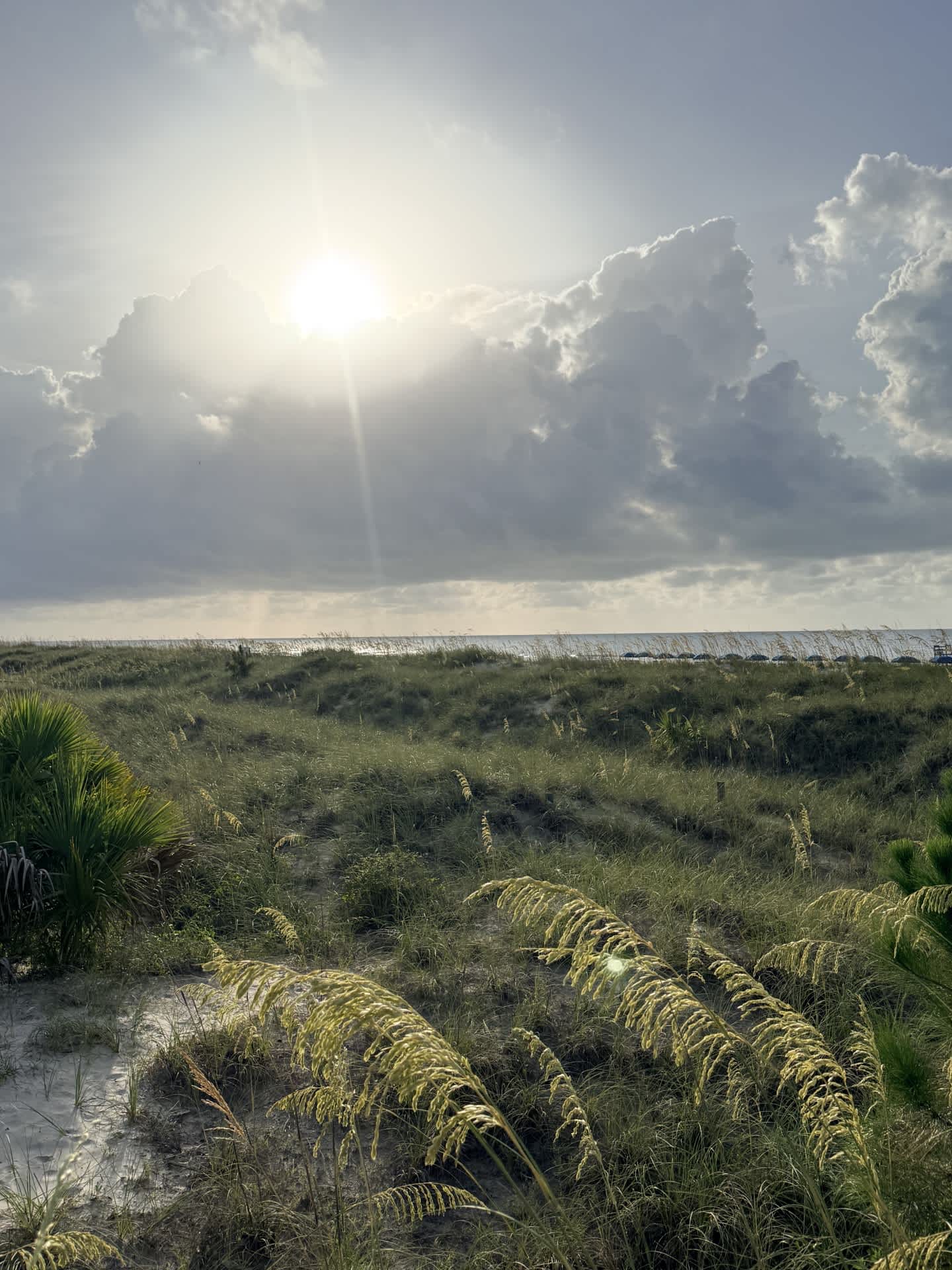 161 The Greens | Photo 26
