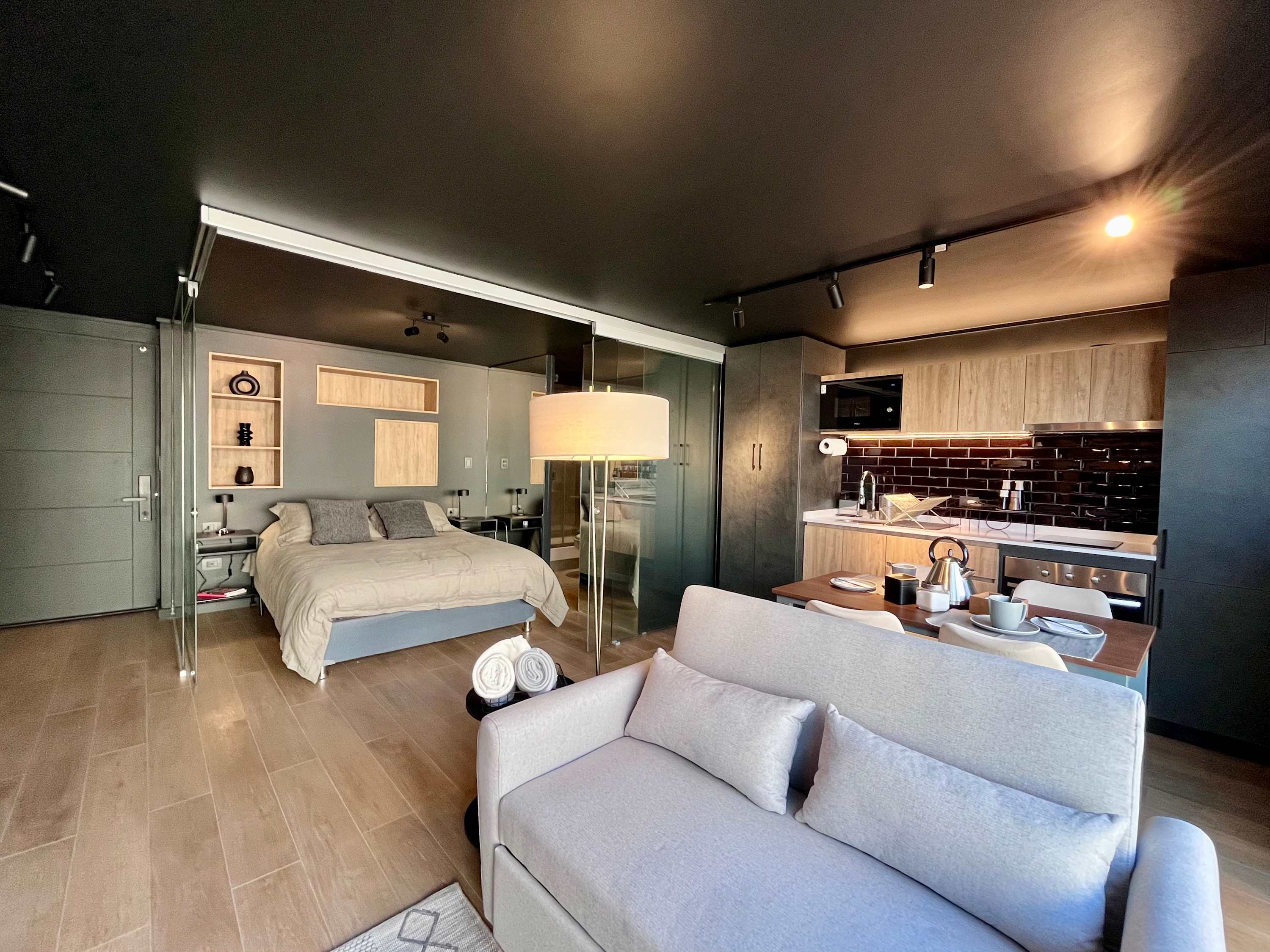 Loft-style studio: living area, bedroom and kitchen in one space