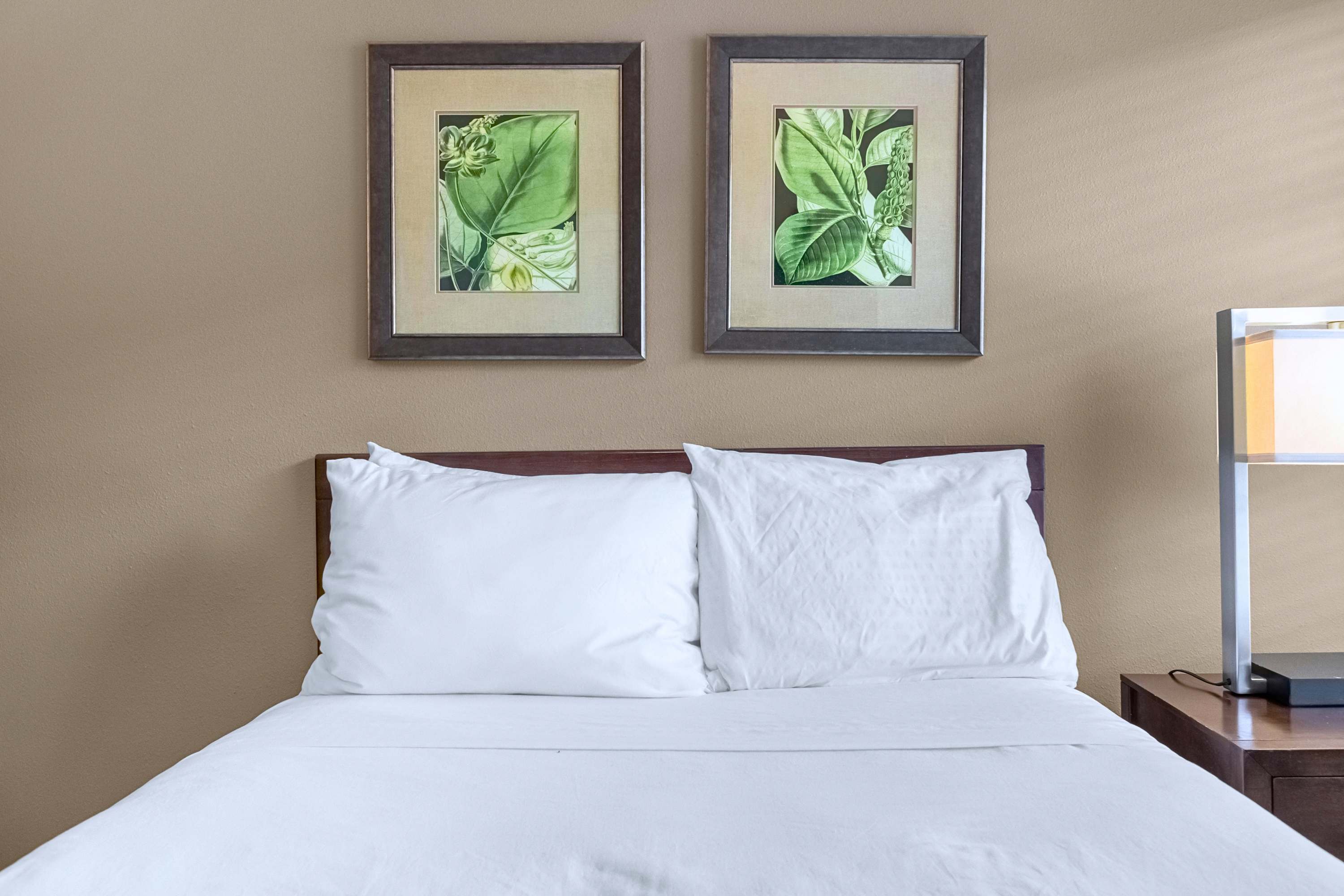 Drift off in style with cozy bedding, soft pillows, and bedside lighting.