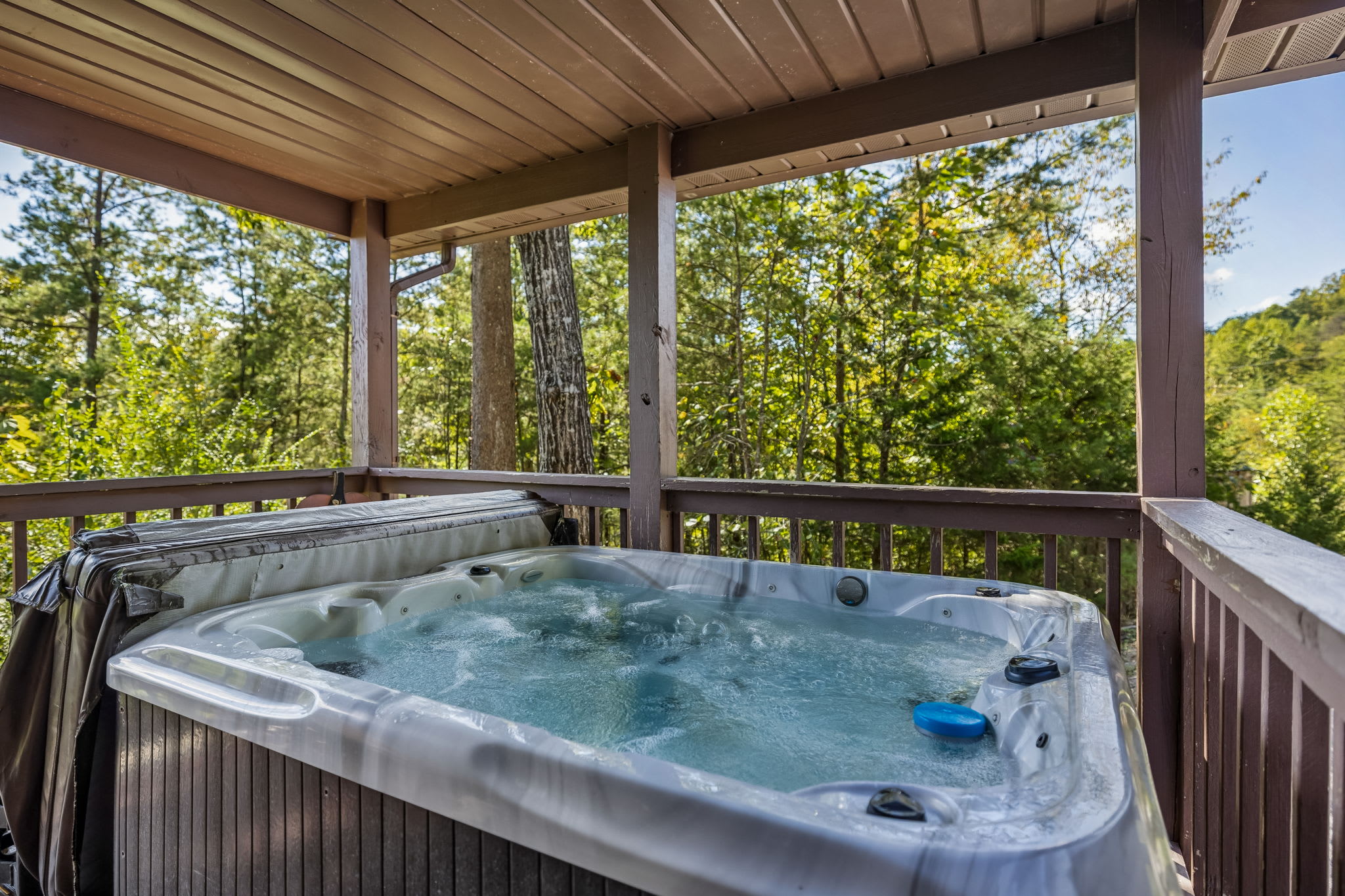 Liam's Lookout | Smoky Mtn Cabin, Hot Tub & BBQ