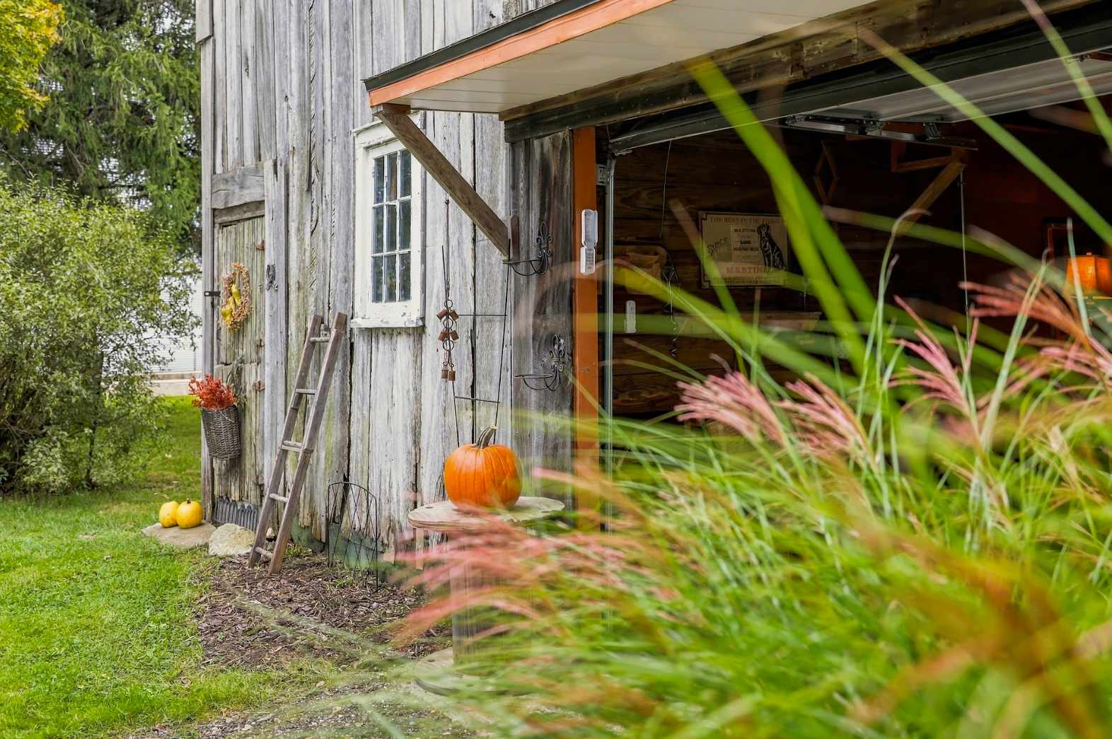 Ornamental grasses and pumpkins greet guests at the Harbor Country barn.