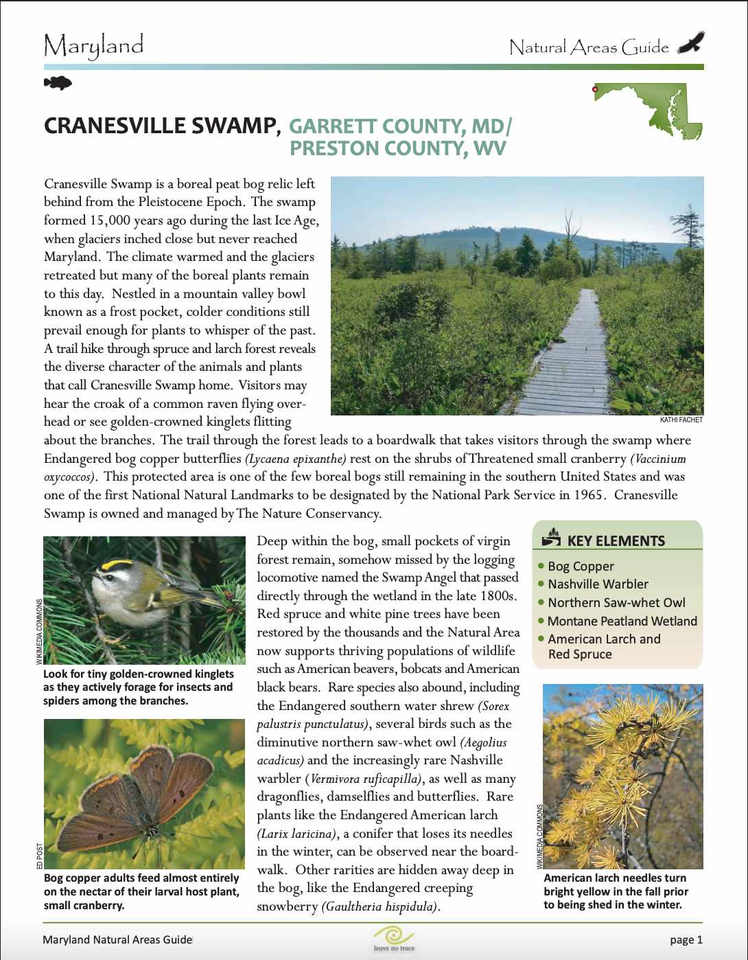 Information Provided by the MARYLAND DEPARTMENT OF NATURAL RESOURCES WILDLIFE & HERITAGE SERVICE