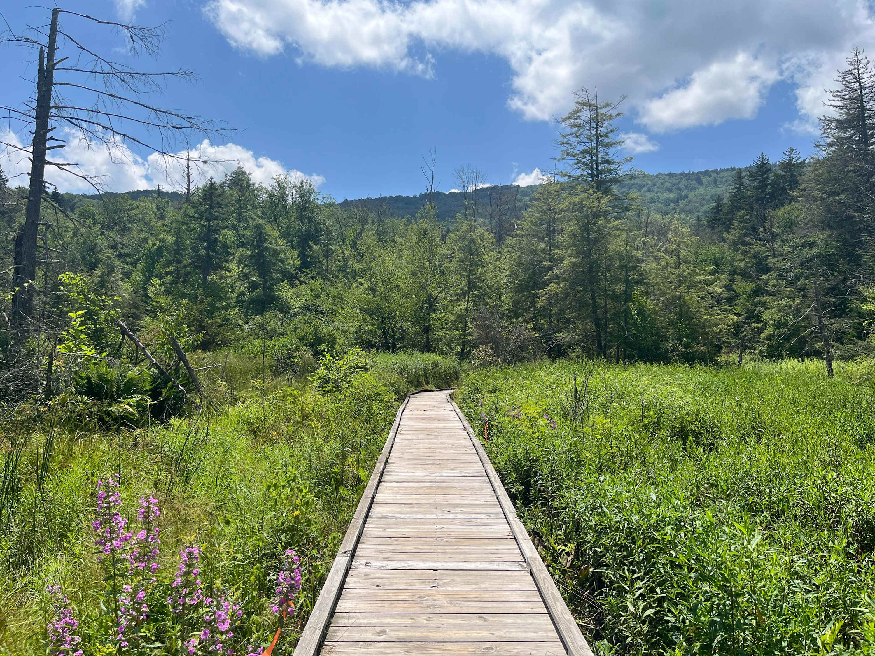 Fire Pit & 5 Min Walk to Nature Conservancy Trails