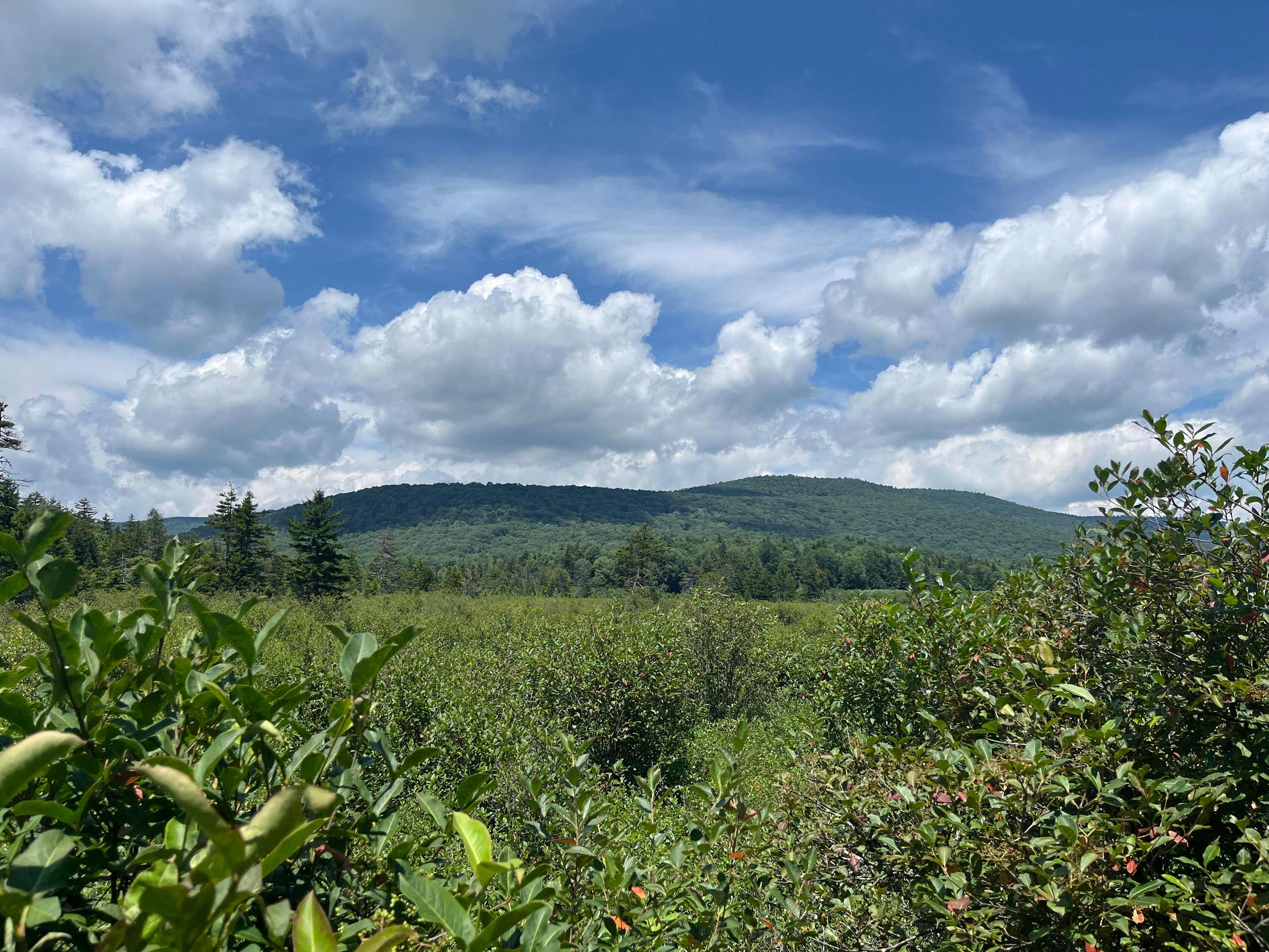 Fire Pit & 5 Min Walk to Nature Conservancy Trails
