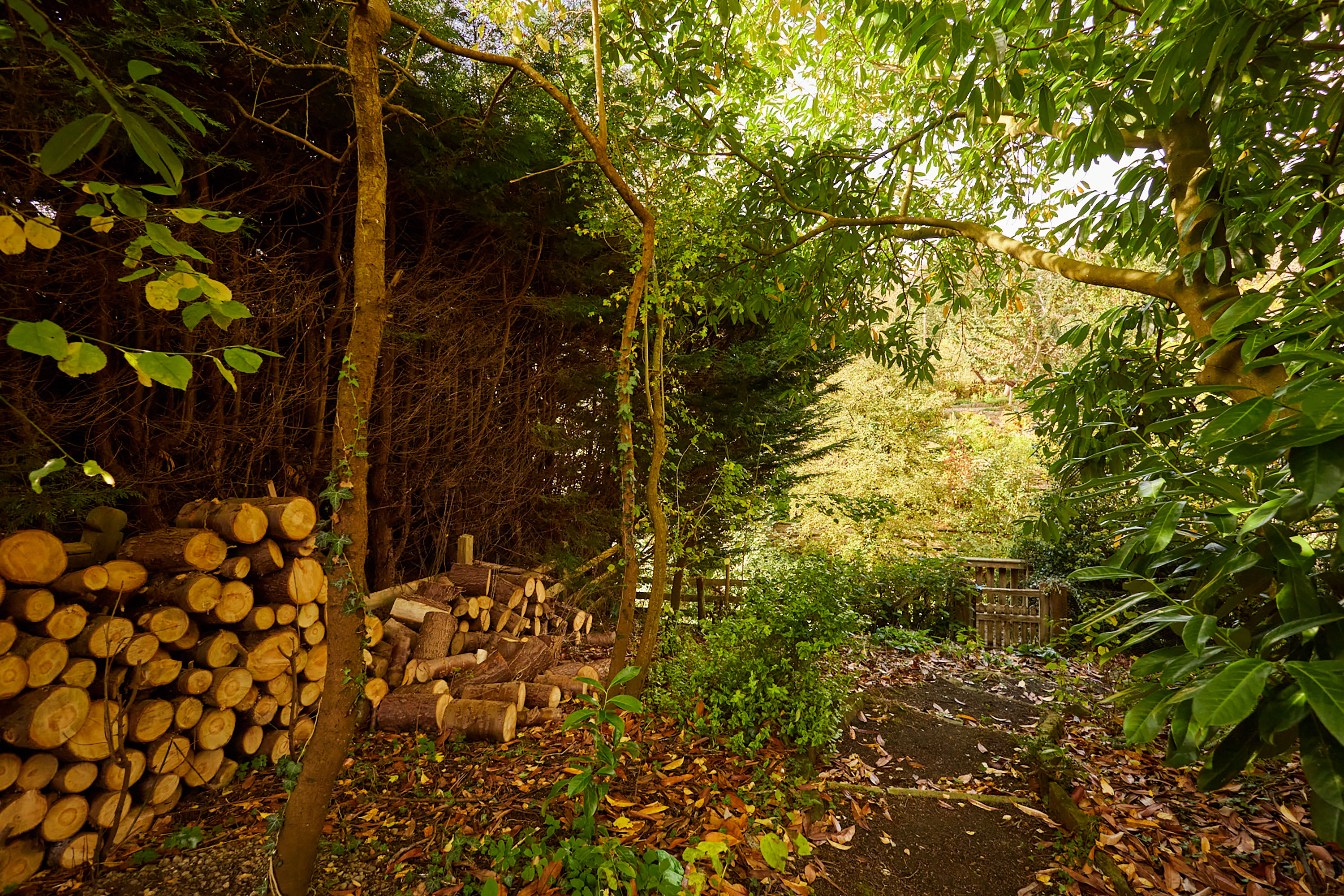 Newtondale – photo 18