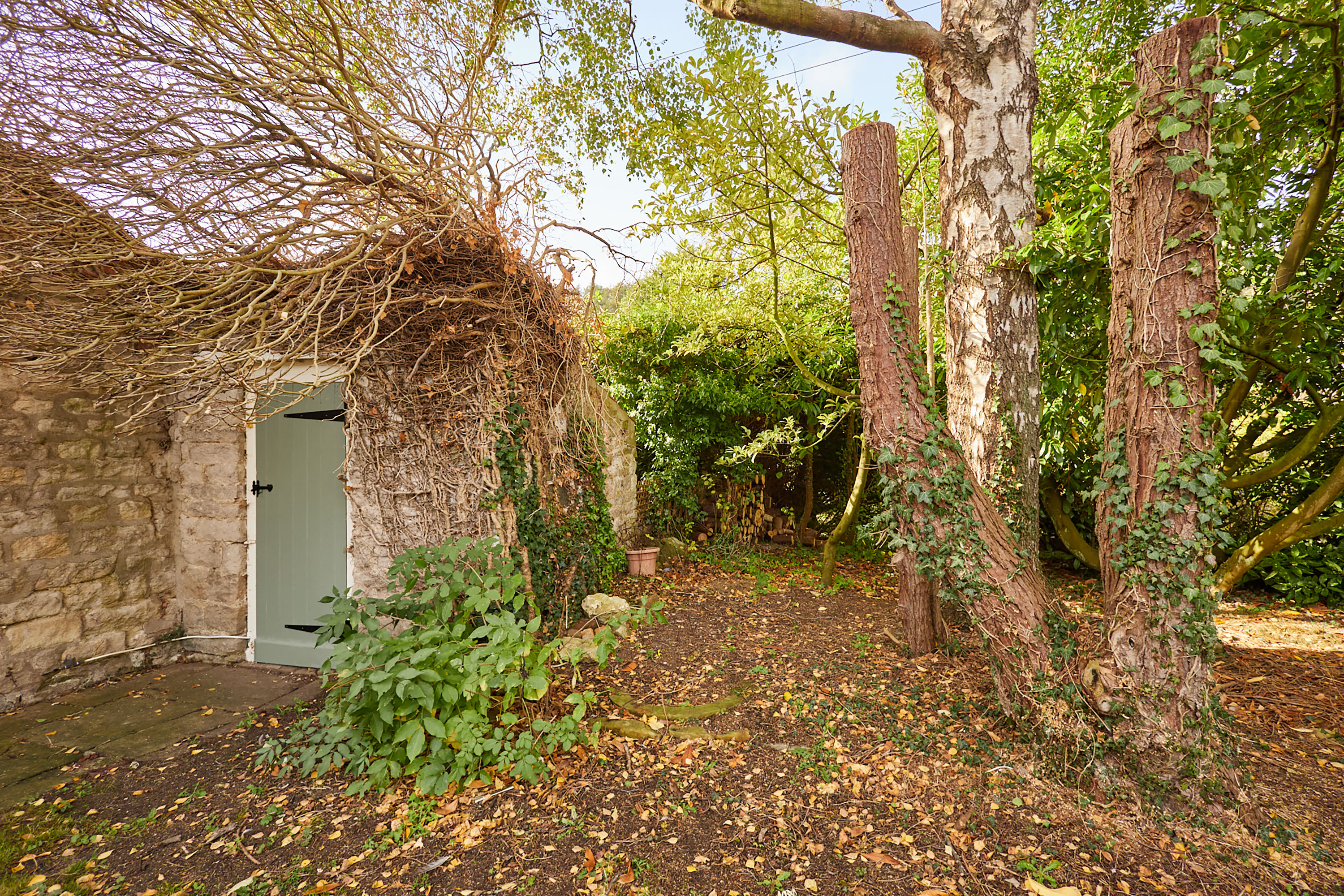 Ryedale – photo 23