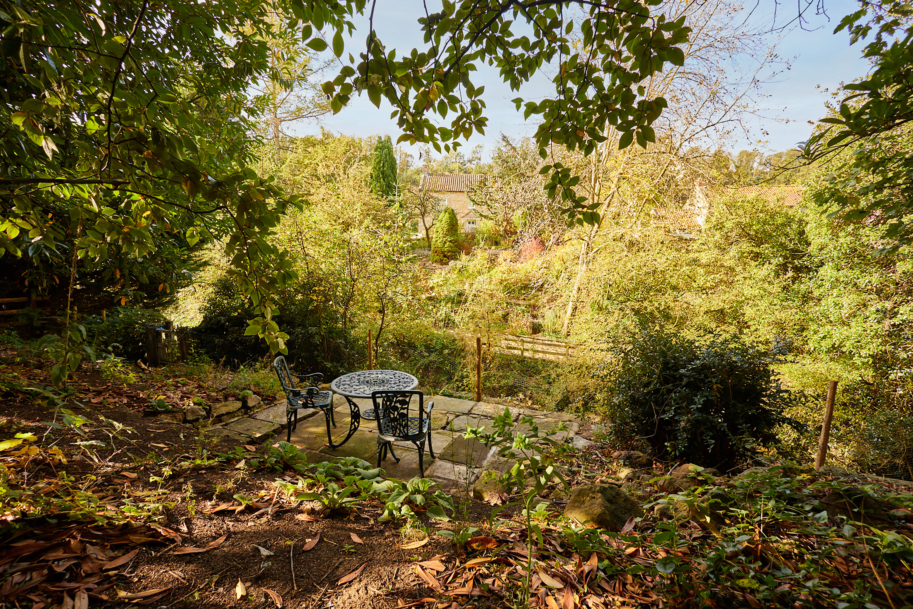 Ryedale – photo 24