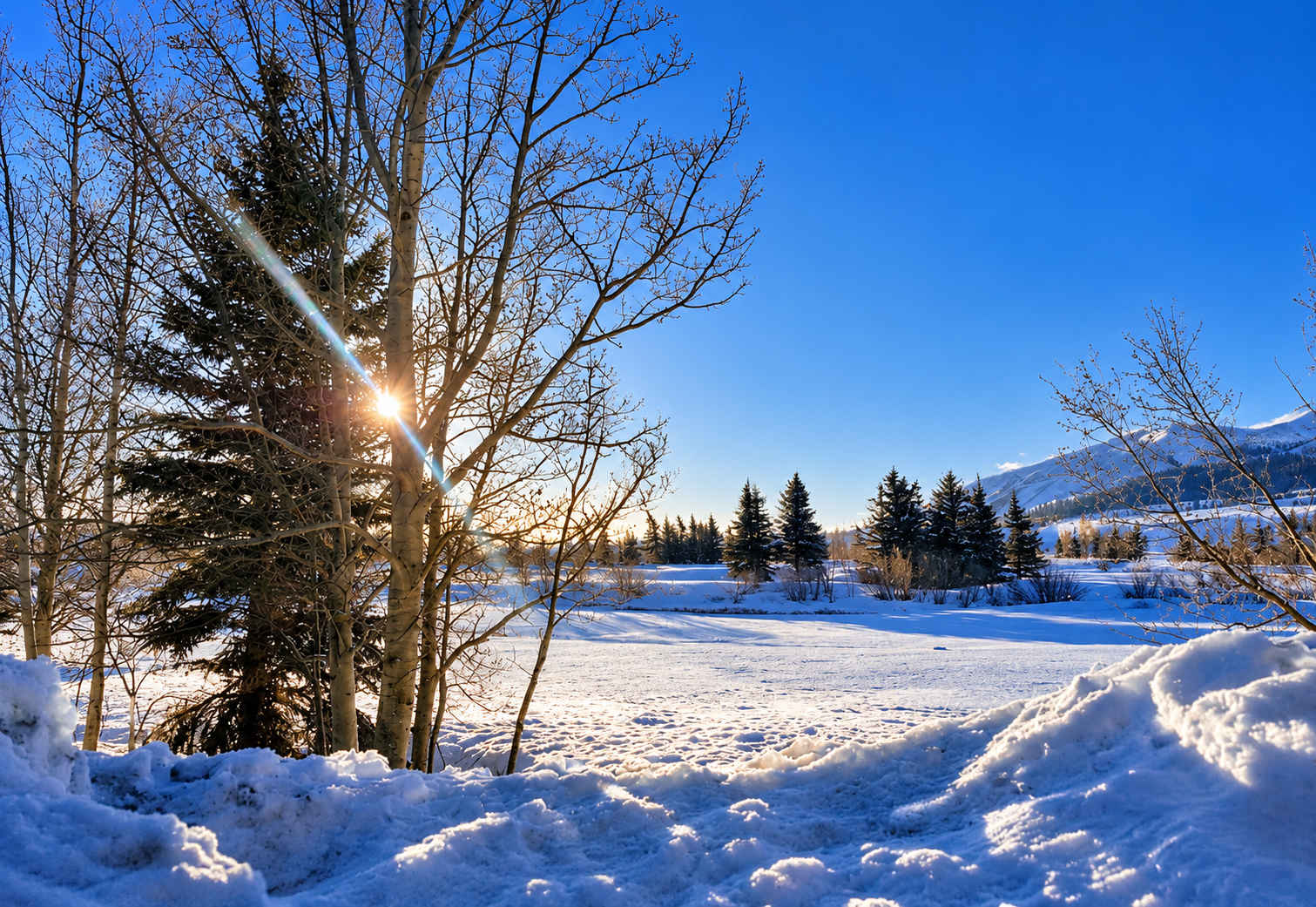 Winter view from balcony