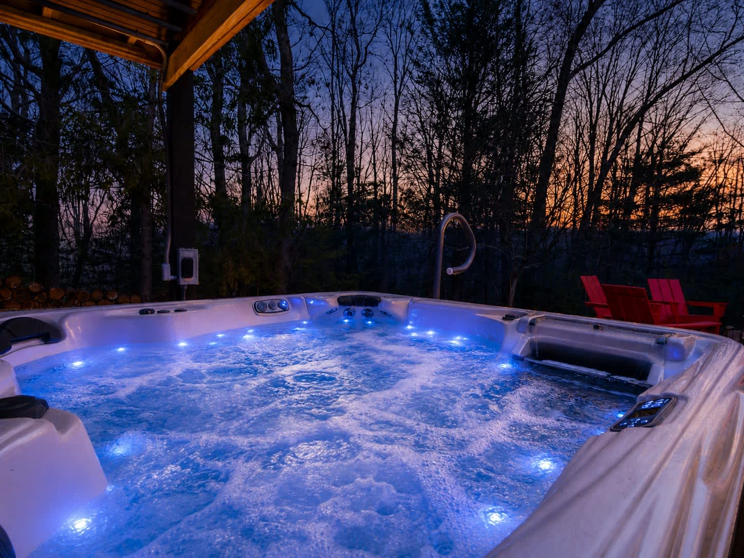 2-Home Estate | Sport Court | 2 Hot Tubs & Saunas - Photo 15
