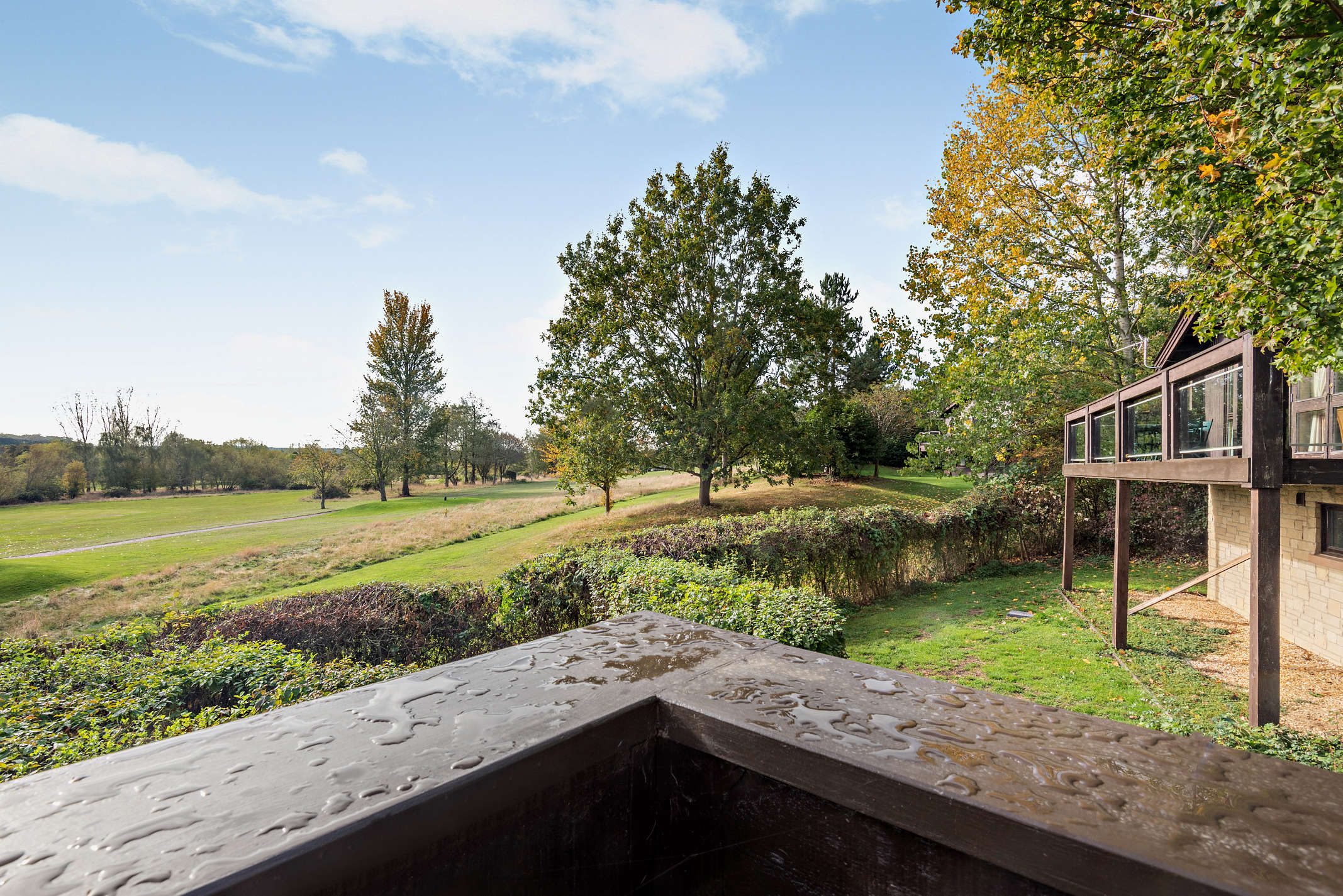 Laurel Lodge – photo 22