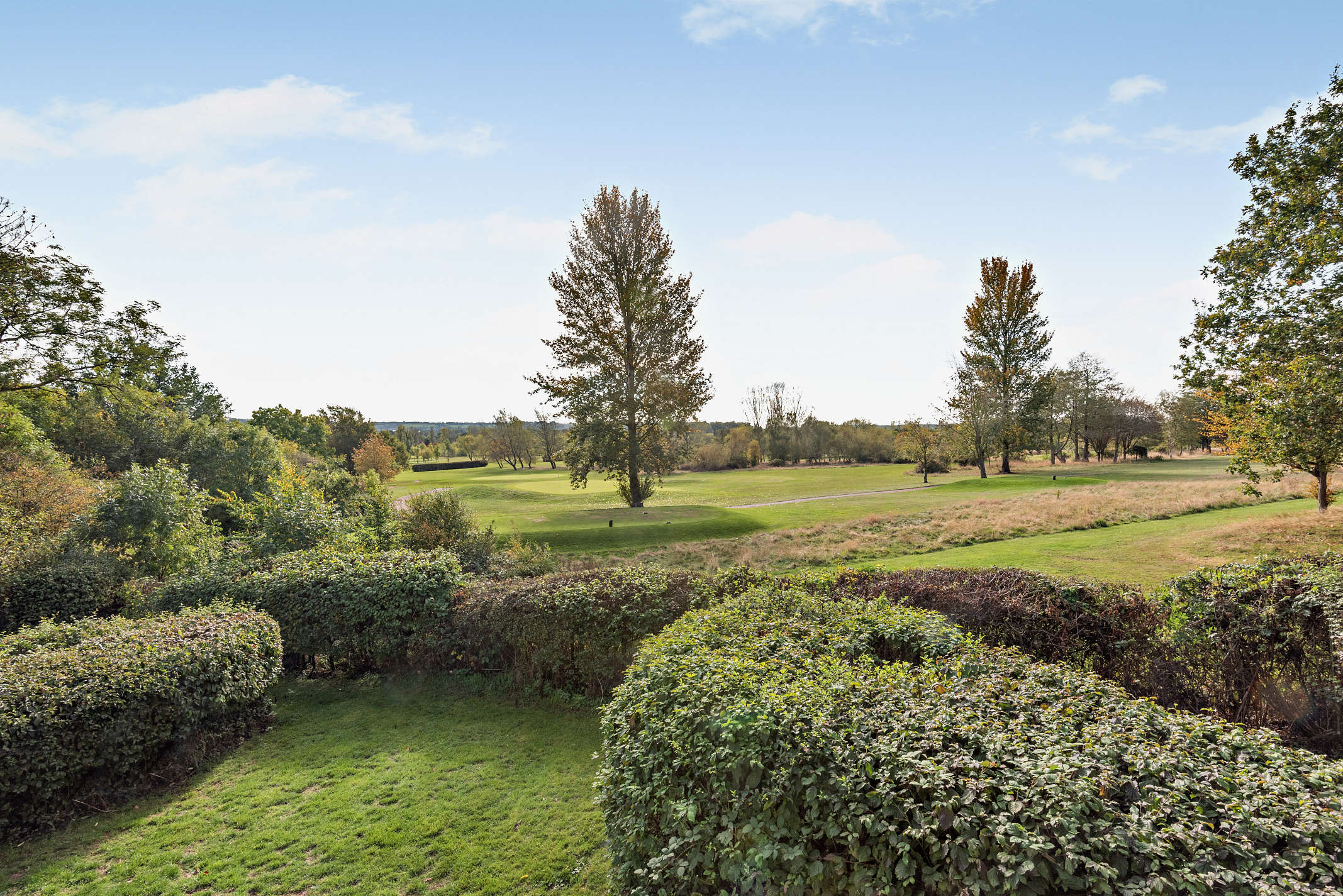 Laurel Lodge – photo 21