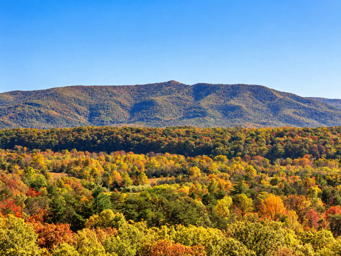Luray Cabin w/Fireplace & Walk to River Adventures