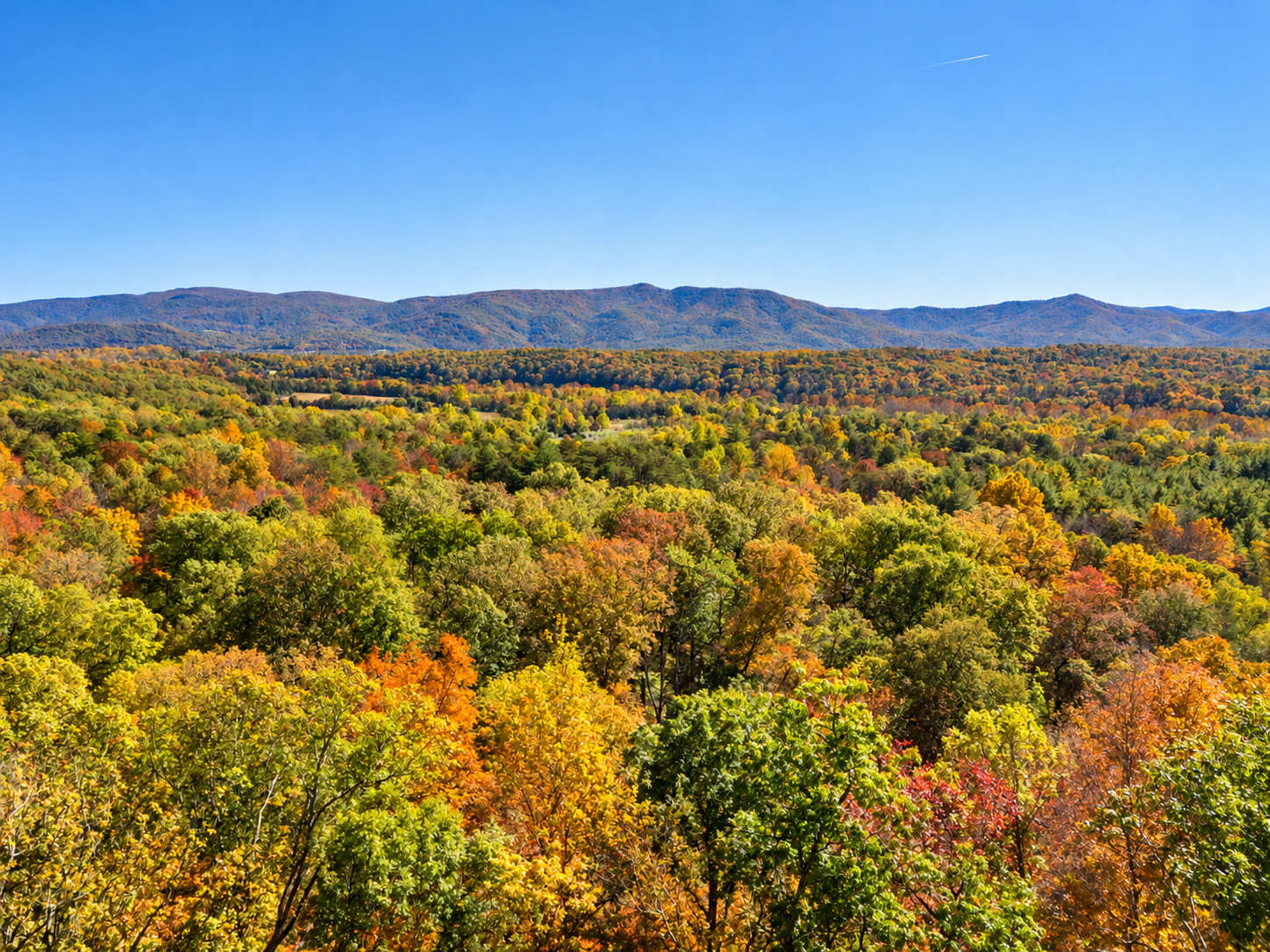 Luray Cabin w/Fireplace & Walk to River Adventures