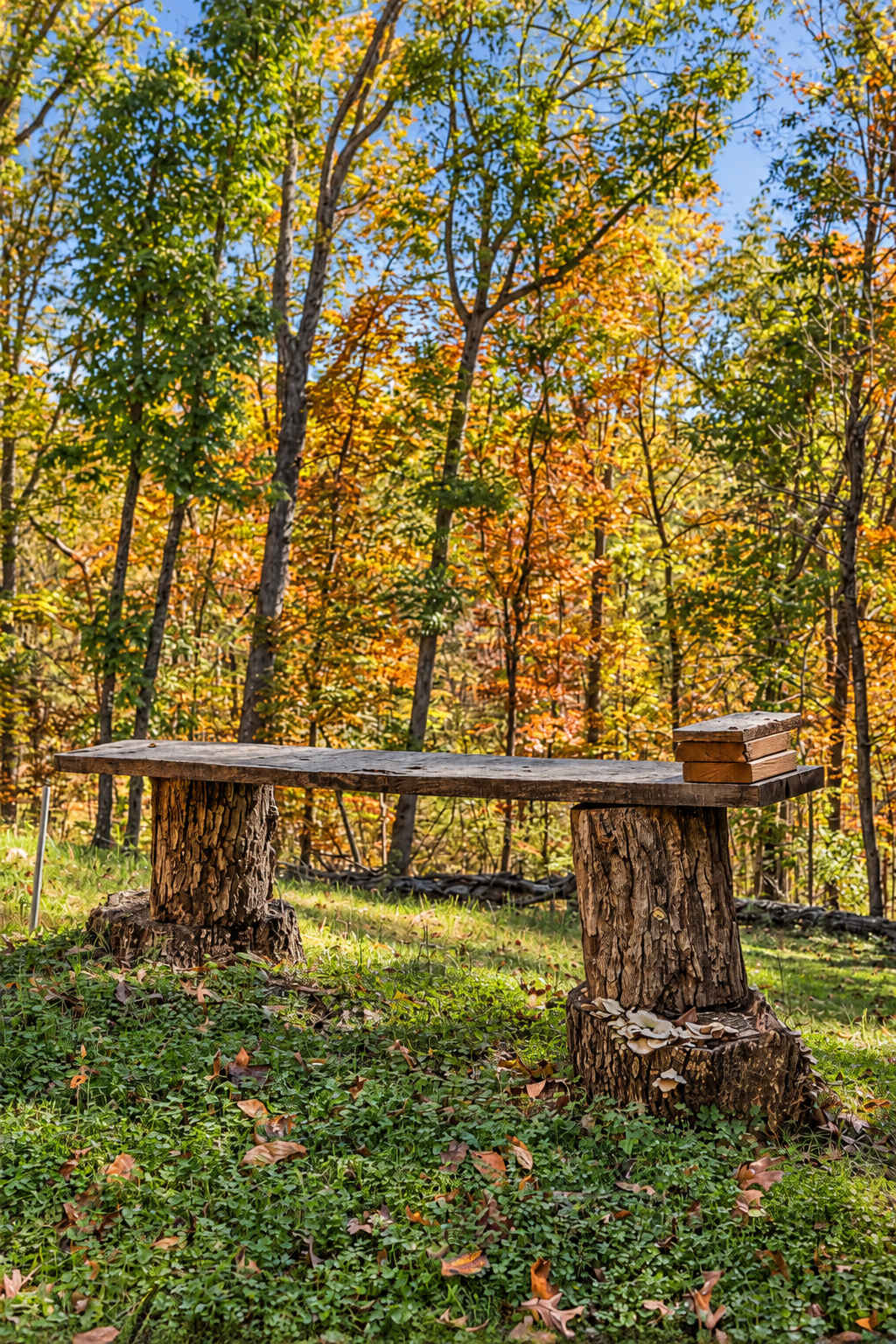 Luray Cabin w/Fireplace & Walk to River Adventures
