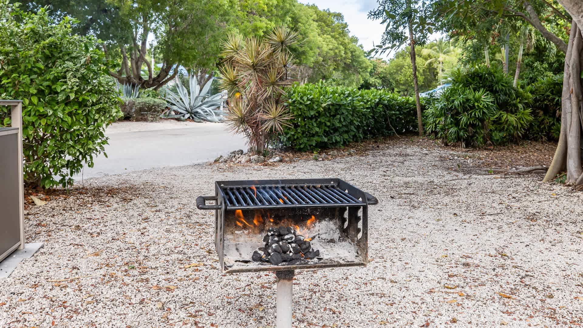 Sol & Sea | King, Nature View | Ocean Pointe 1204 - Photo 43