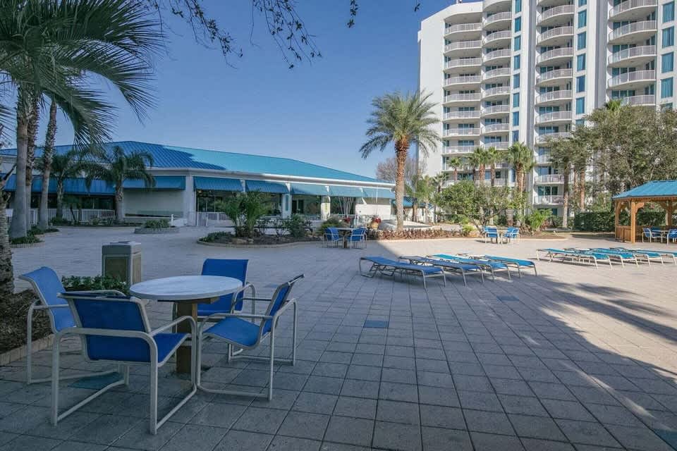 The Palms