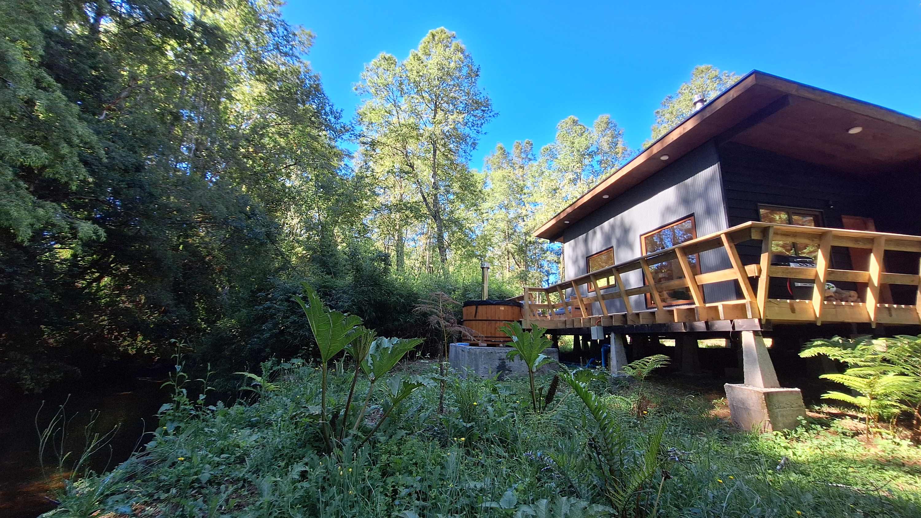 Wooden cabin with a deck, surrounded by forest and riverside vegetation