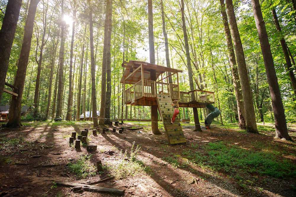 Multiple Cabins photo 3