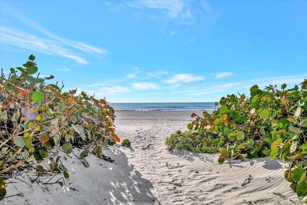 Sandy path leading straight to the beach