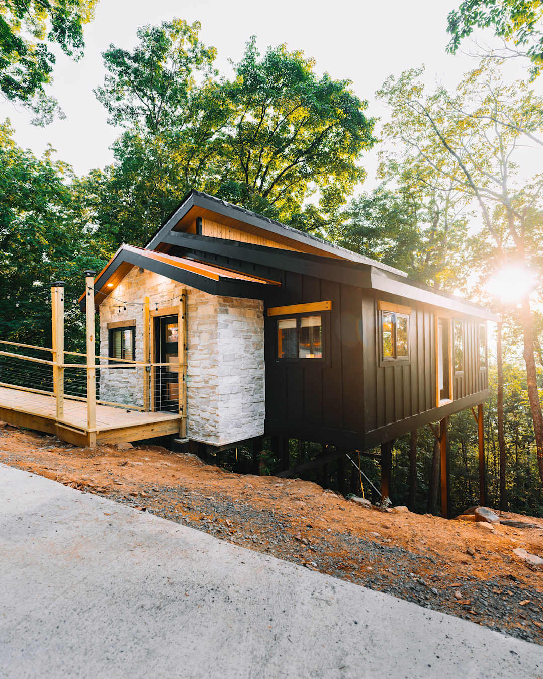 Autumn Blaze