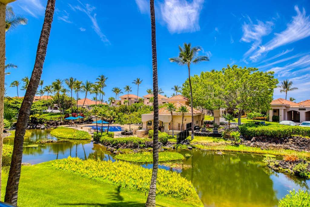 Peaceful Lagoon Views Surrounded By Tropical Beauty