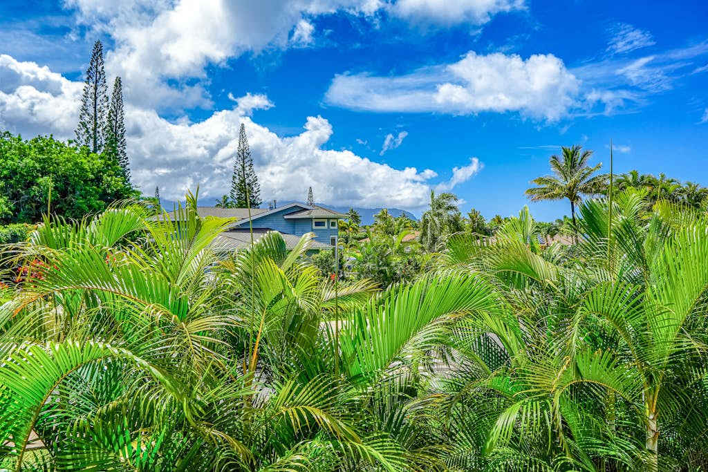 Tropical Greenery Across The Paniolo Neighborhood