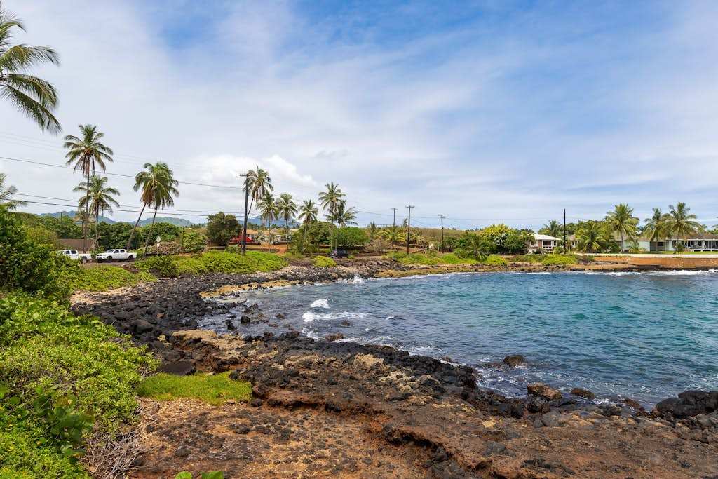 Stunning Oceanfront Lava Coastline