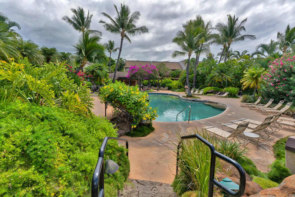 Tropical pool surrounded by lush gardens