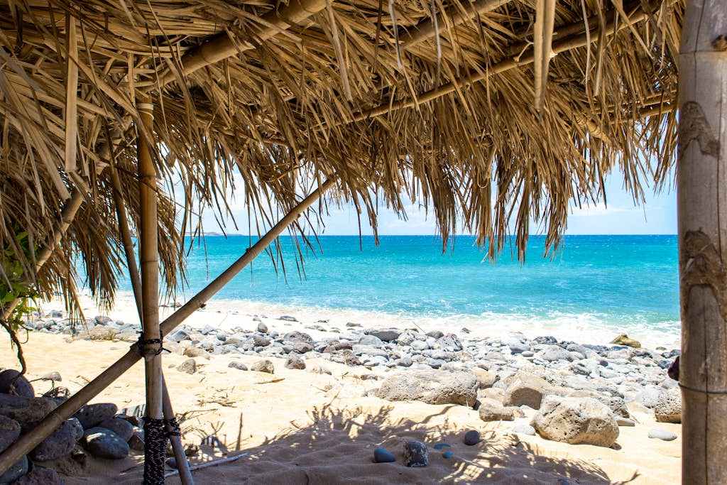 Thatched shelter offers shaded relaxation beside clear turquoise ocean waters