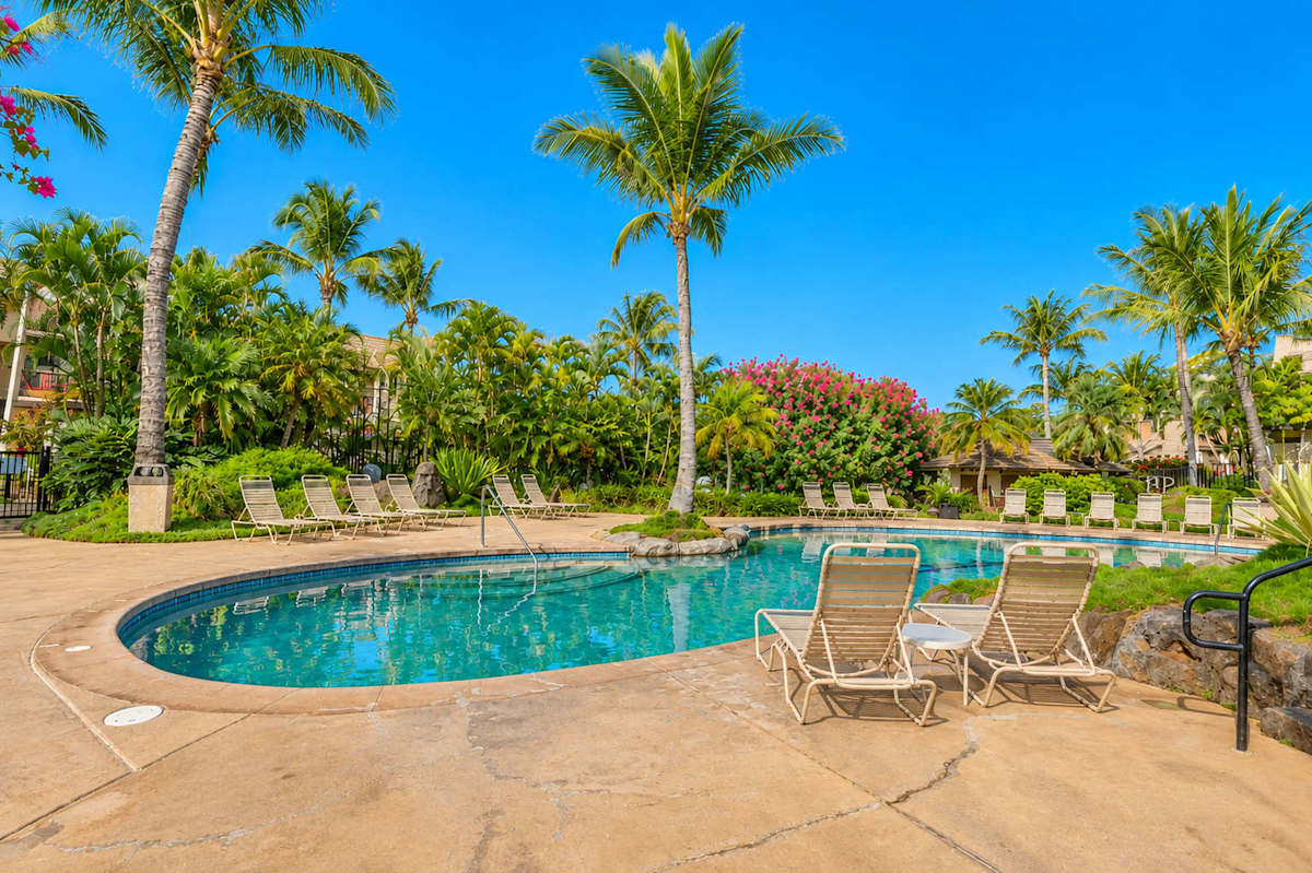 Resort pool sparkles beside palms with inviting loungers and water