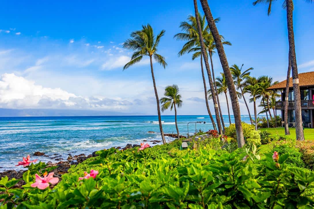 Mahina Surf 104