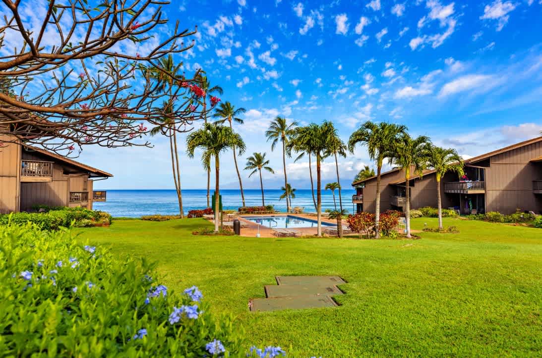 Mahina Surf 219