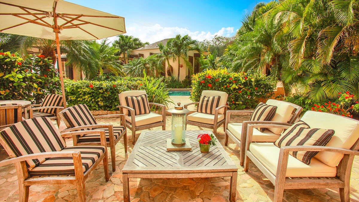 Birds Of Paradise property image