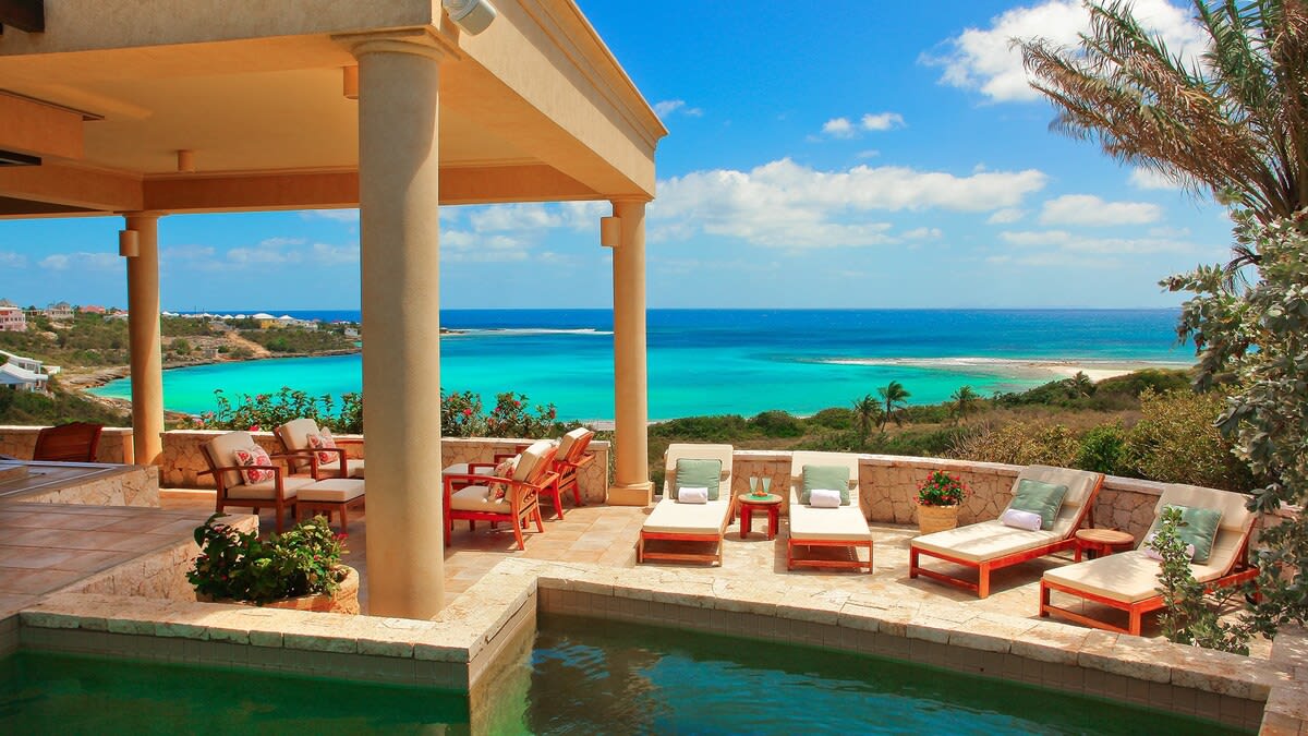 Birds Of Paradise property image