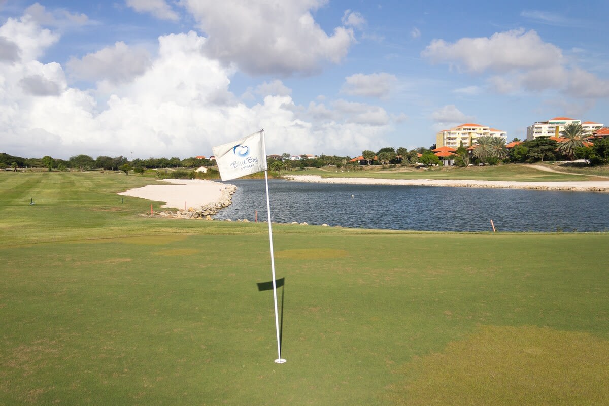 Blue Bay The Hill 25 property image