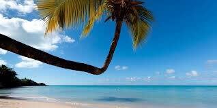 tamarind hills