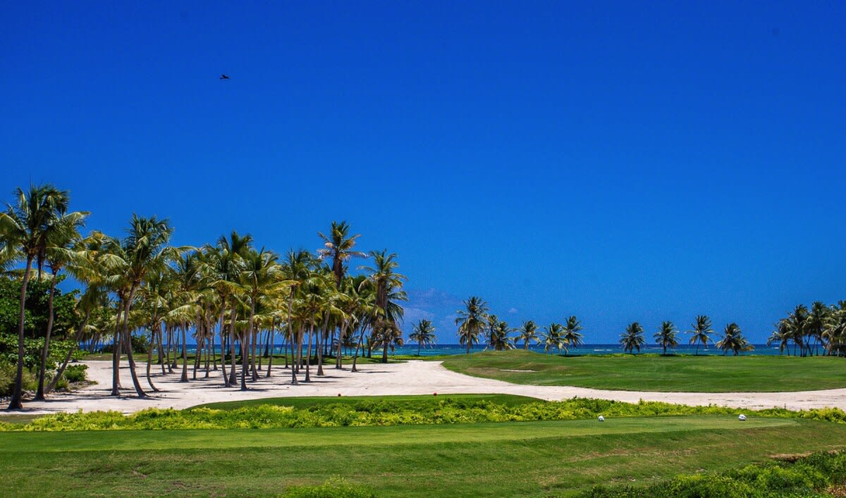 Villa Ocean Tree property image