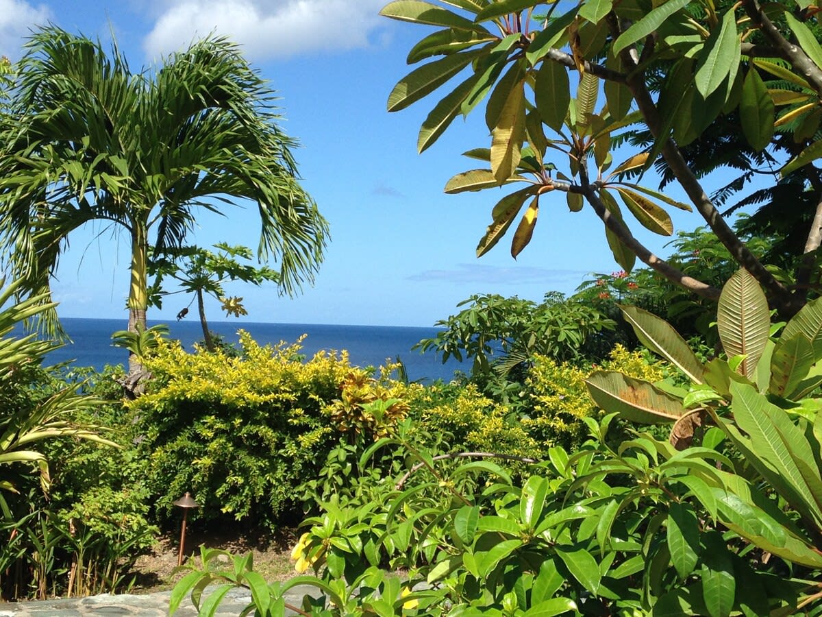 Villa Susanna property image