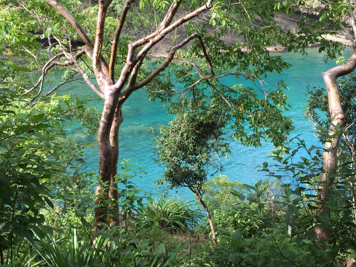 Villa Susanna property image