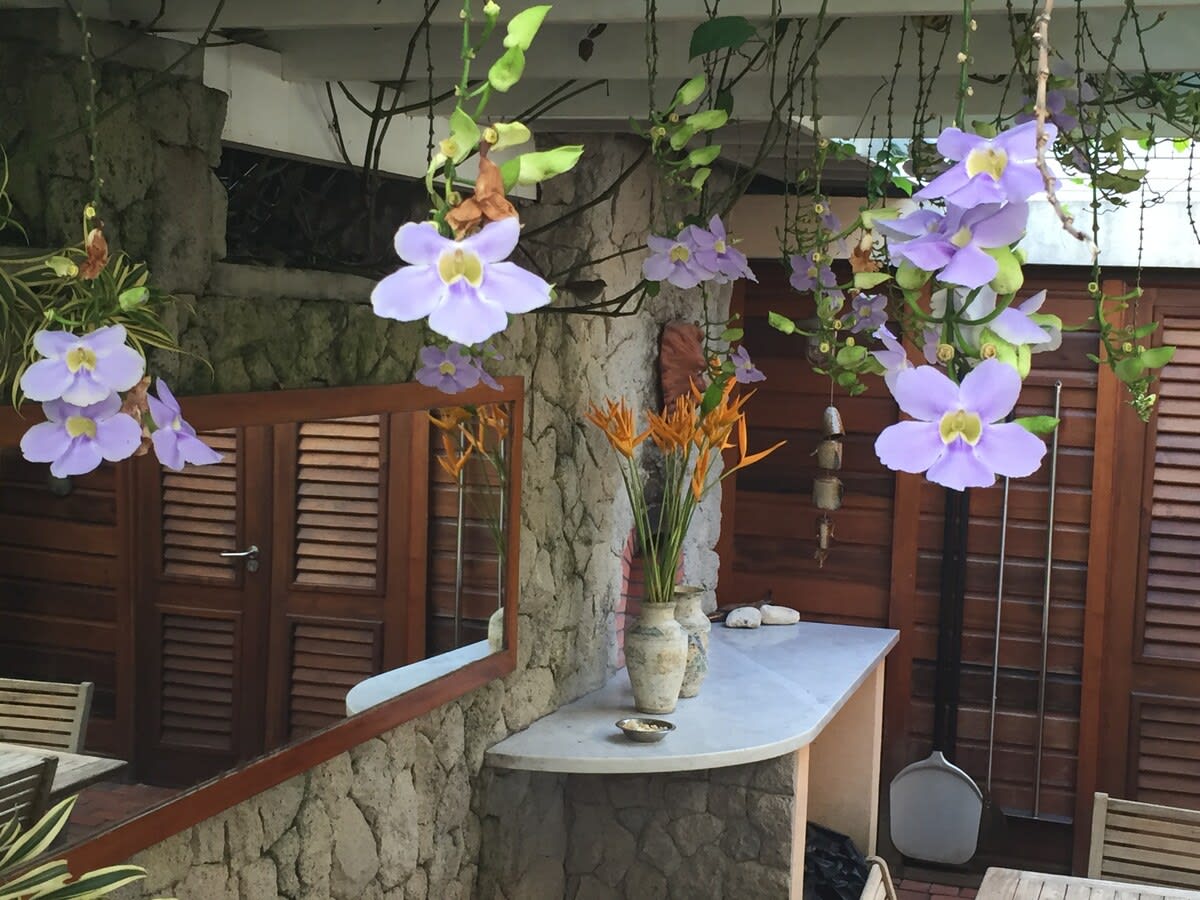 Villa Susanna property image