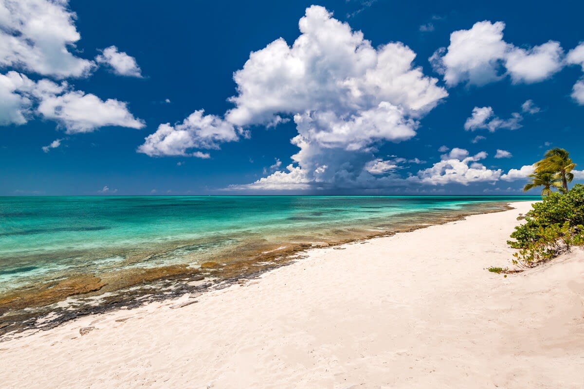 Beach Shack property image