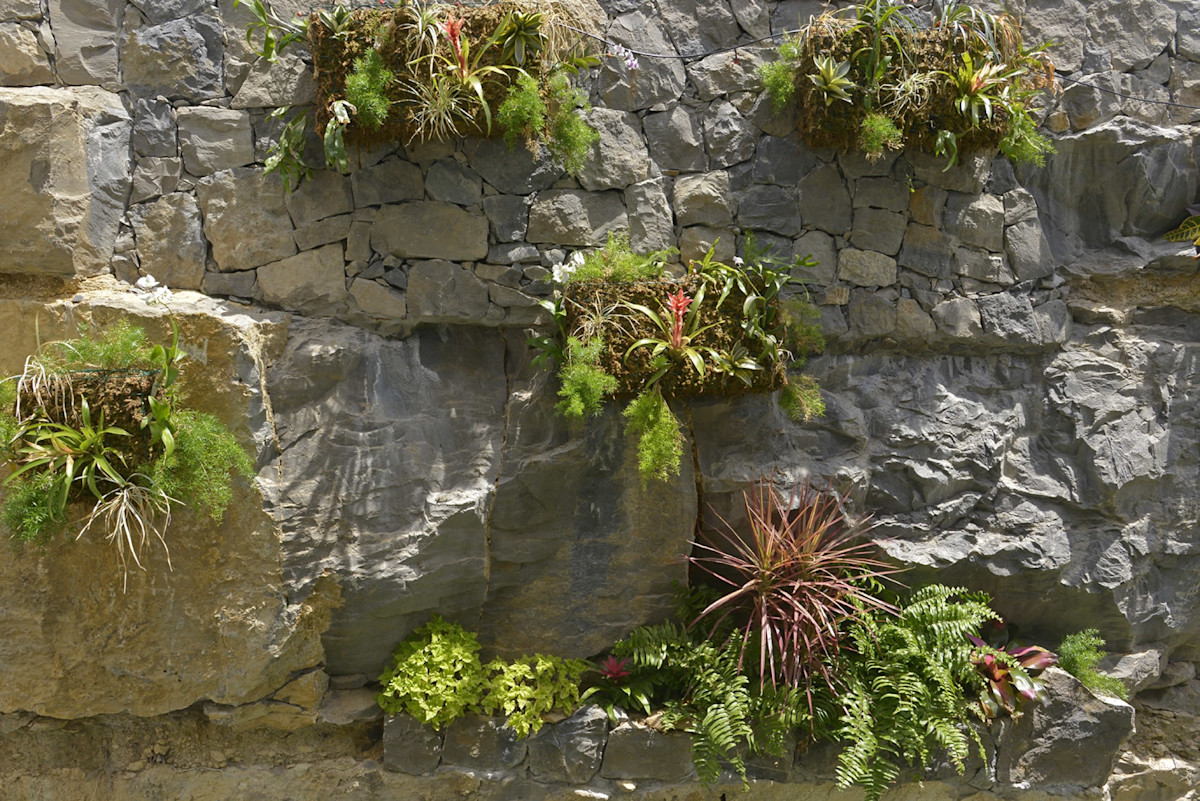 MUR VEGETAL NET∏LEROI