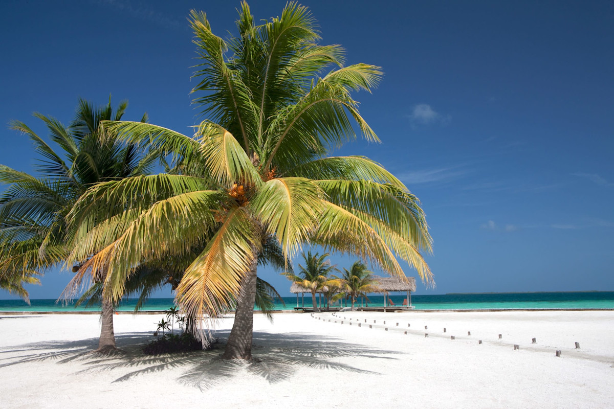 Royal Belize property image