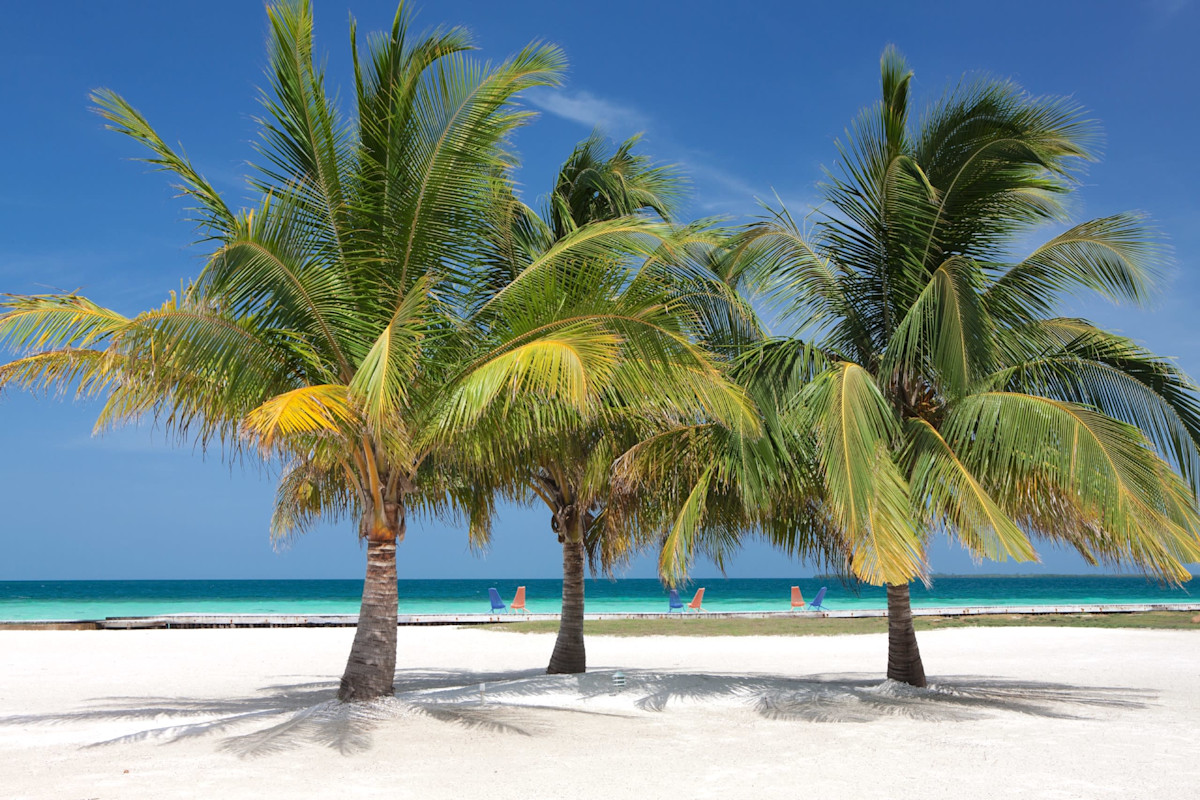 Royal Belize property image
