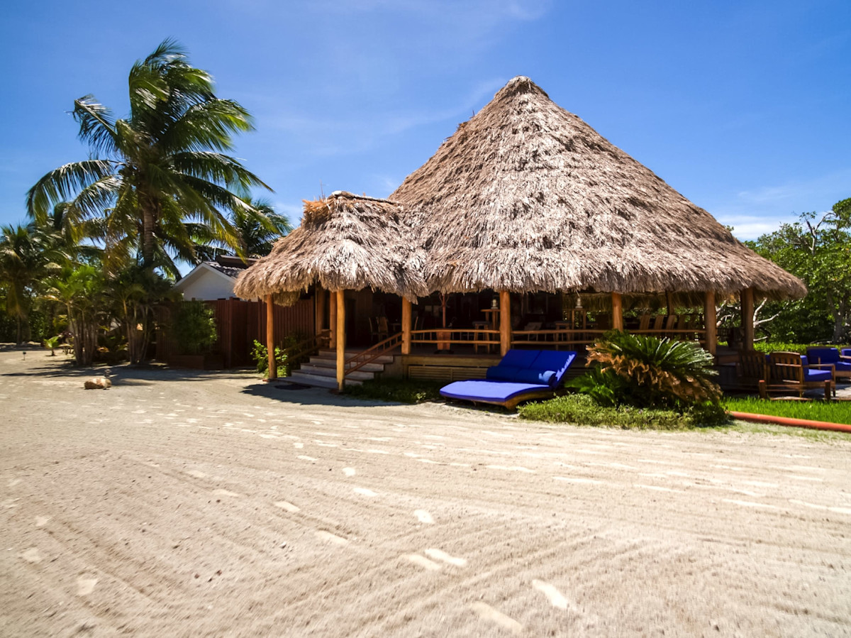 grandpalapa