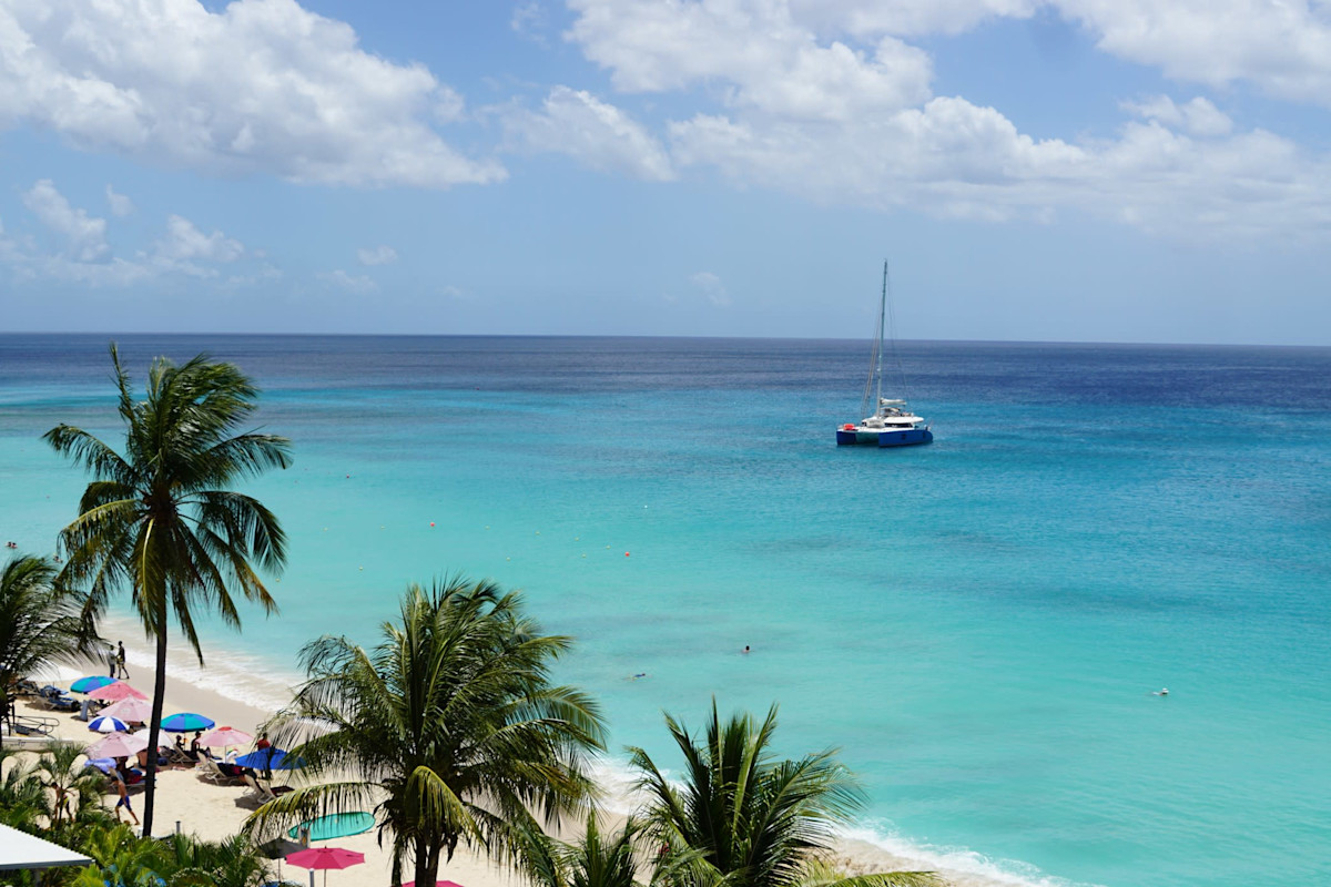 paynes bay beach