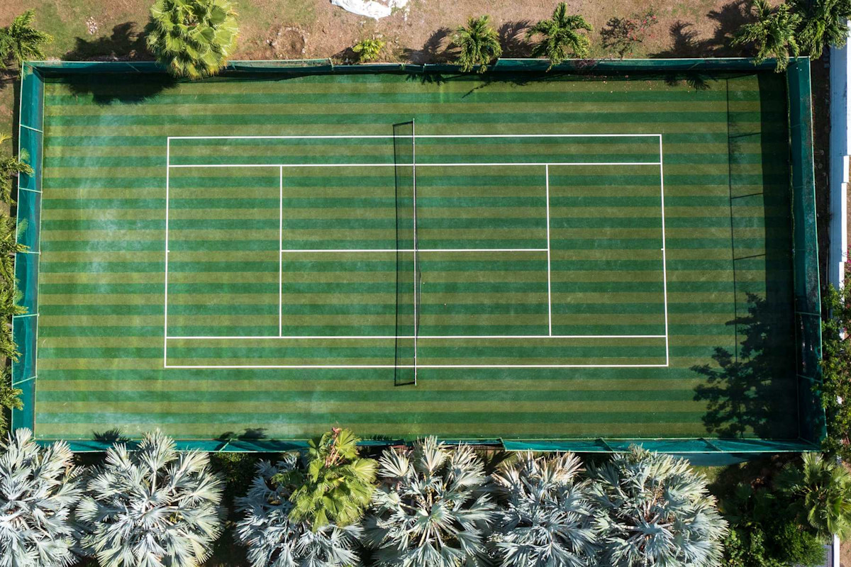 Les Palmiers Bleus property image